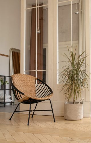 Comfortable chair and potted plant placed near partition in cozy elegant room at home